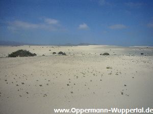 Fuerteventura