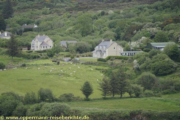 Killybegs