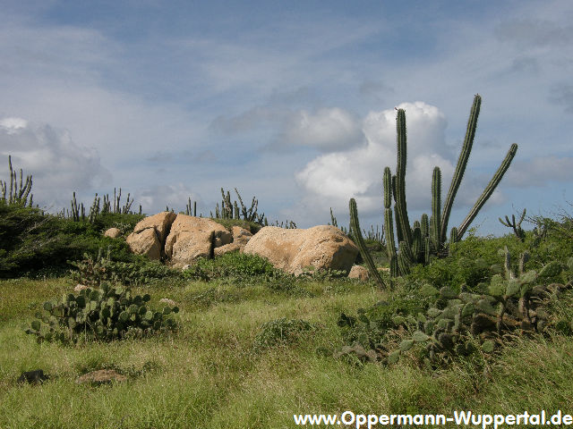 Aruba