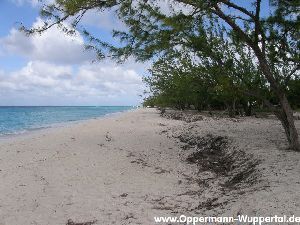 Grand Turk