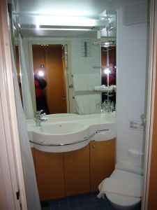 Delphin Voyager Kabine 5089