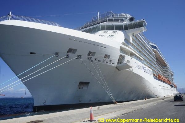 Celebrity Reflection