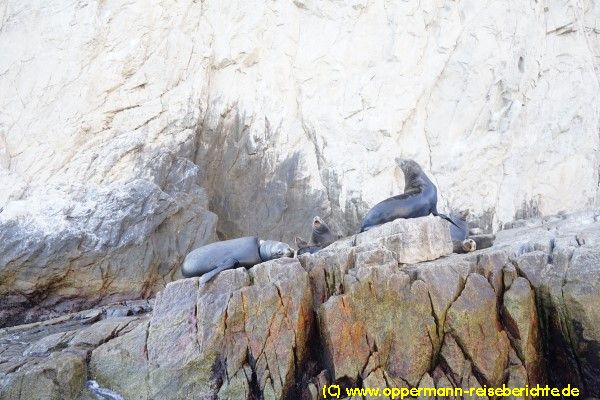Cabo San Lucas