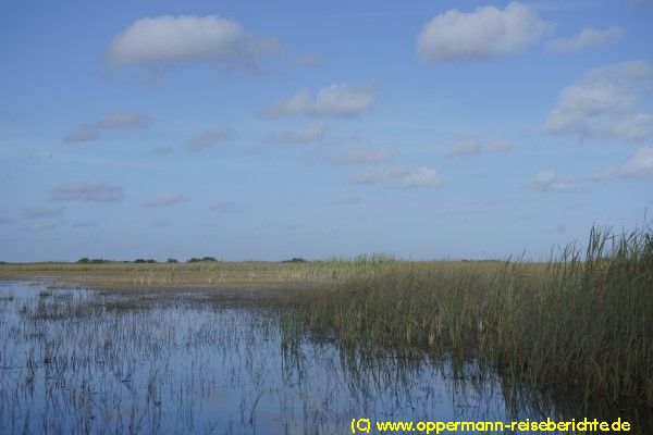 Everglades