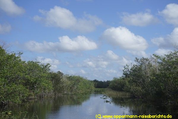 Everglades