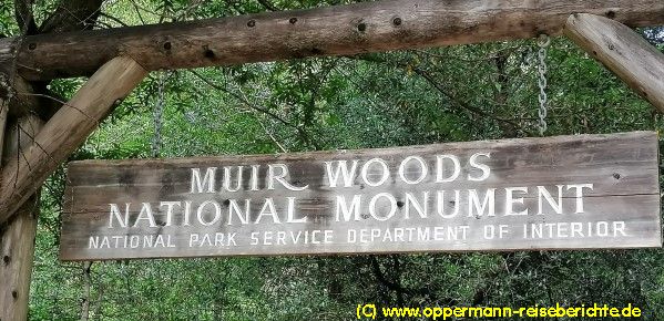 Muir Woods