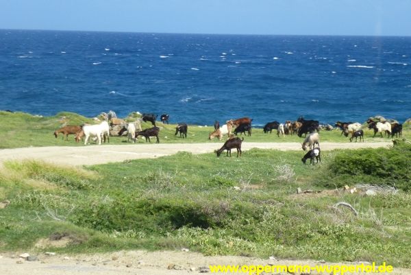 Aruba