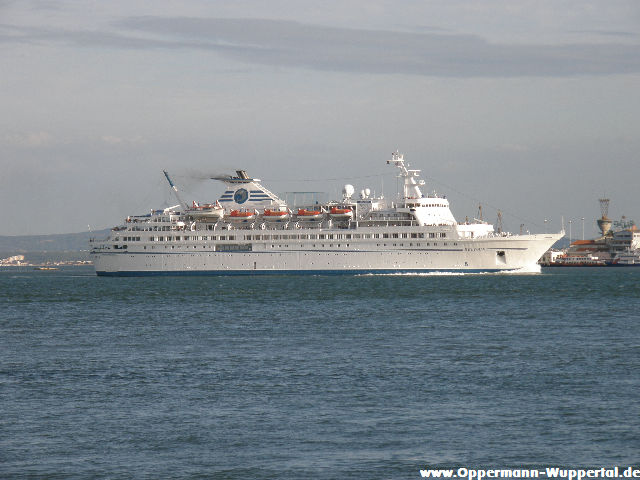 Kreuzfahrtschiff-Foto Delphin