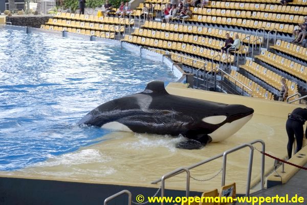 Loro Parque