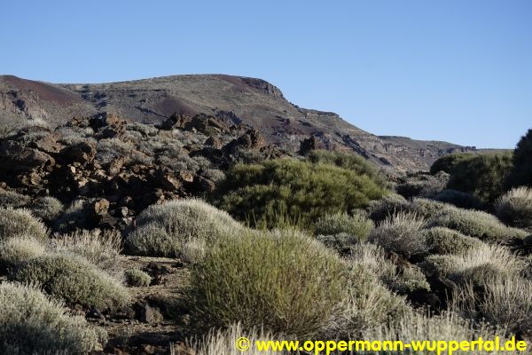 Pico del Teide