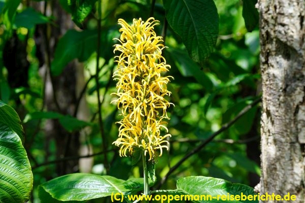 Botanischer Garten